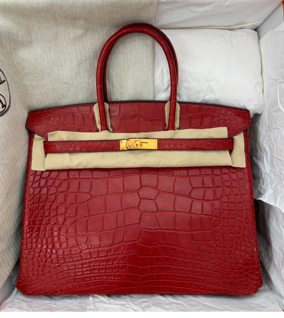 Hermes Birkin 35 Rouge H Matte Alligator Gold hardware