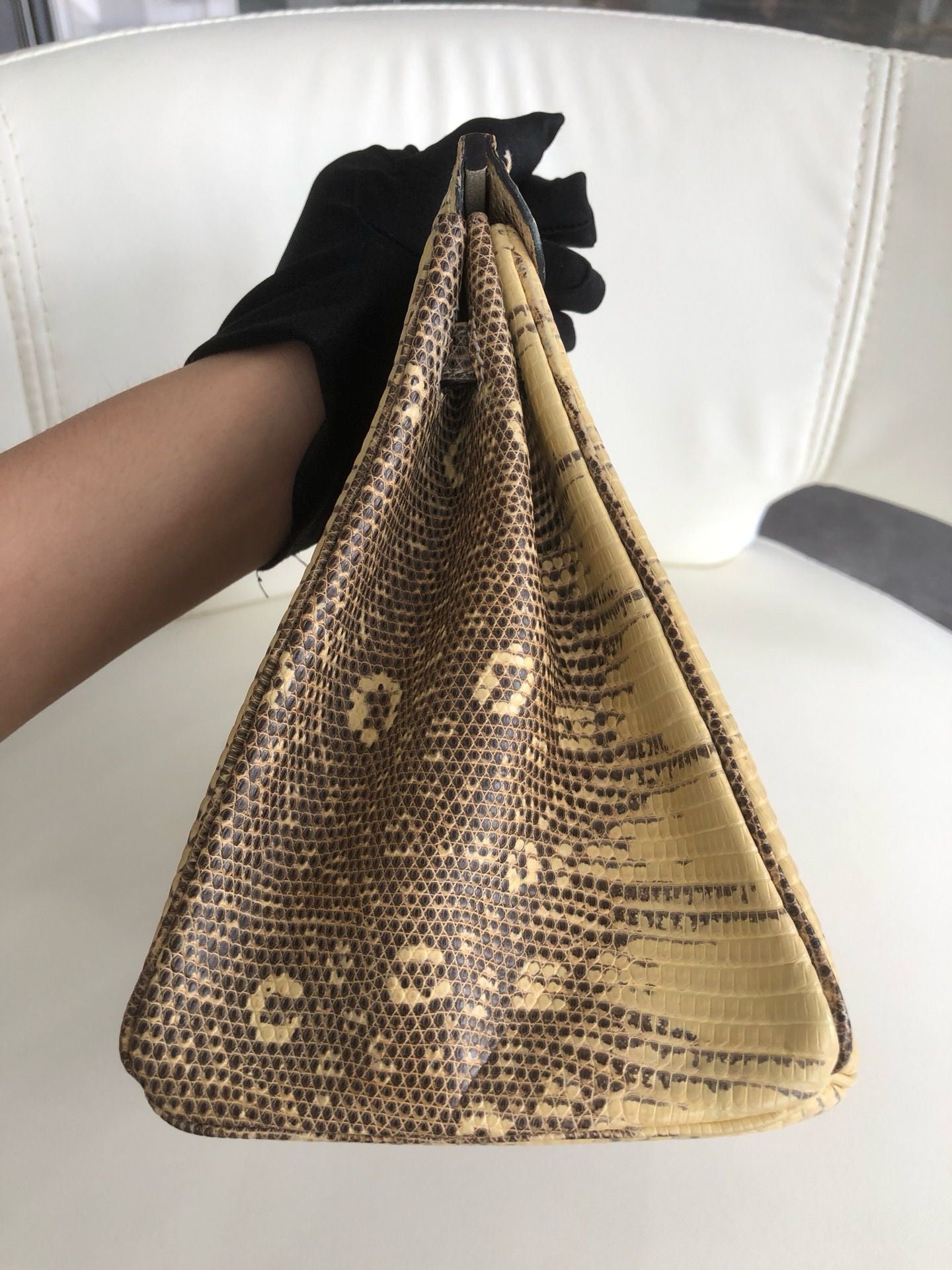 Hermès Birkin 25 Ombre Varanus Salvator Lizard Palladium Hardware