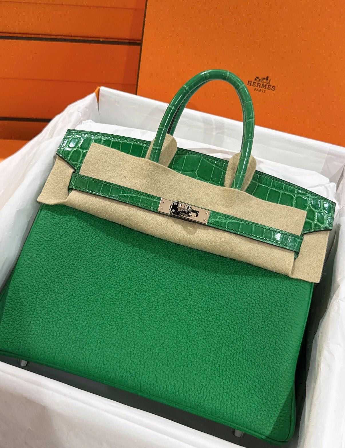 Hermes Birkin 25 Touch Cactus Shiny Niloticus/Togo leather palladium hardware