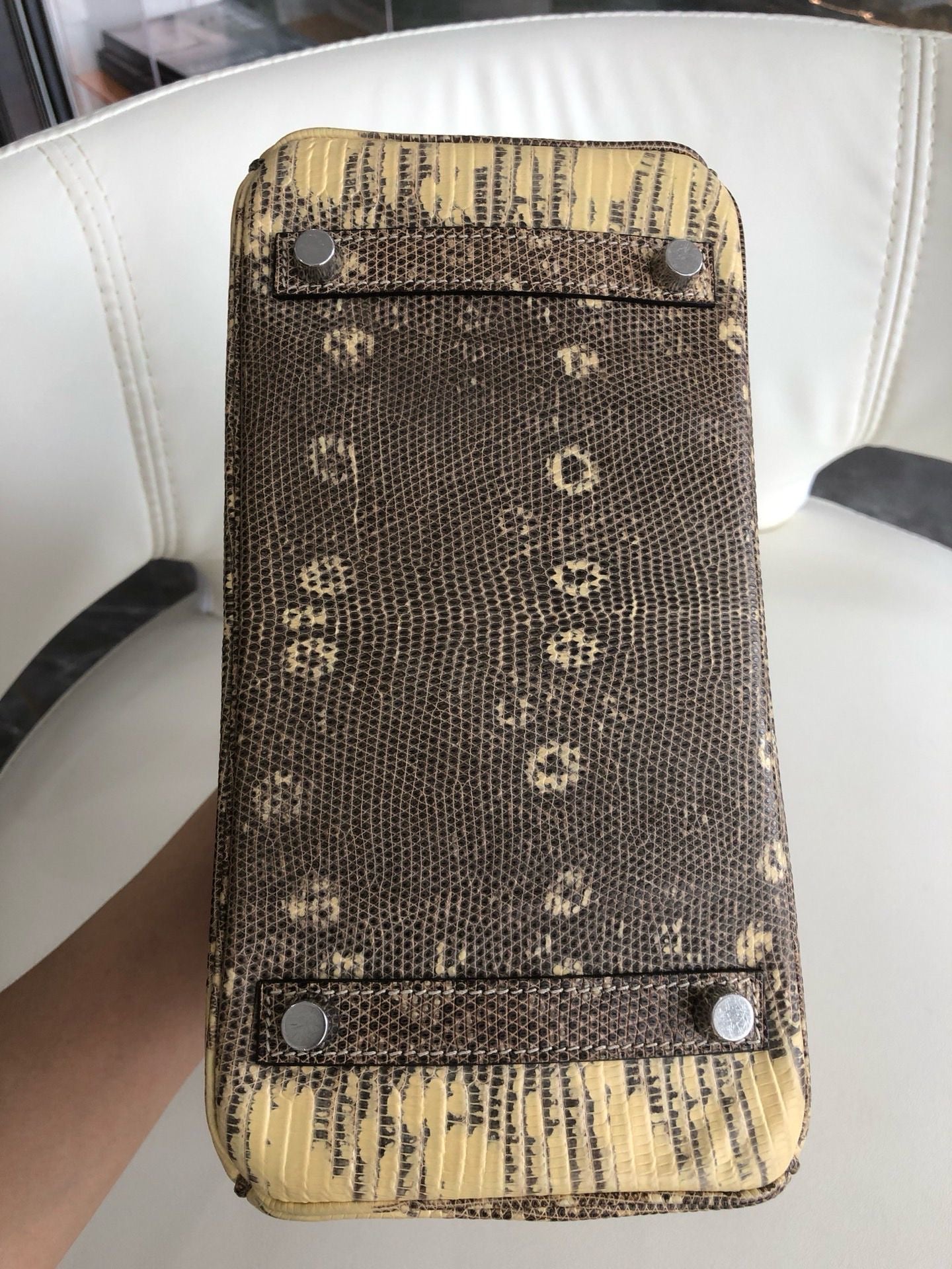Hermès Birkin 25 Ombre Varanus Salvator Lizard Palladium Hardware
