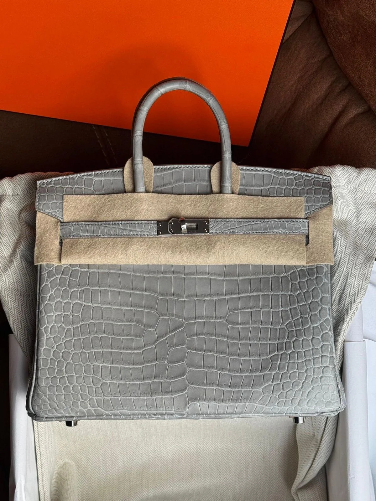 Hermes Birkin 25 Gris Perle Matte Porosus Palladium hardware