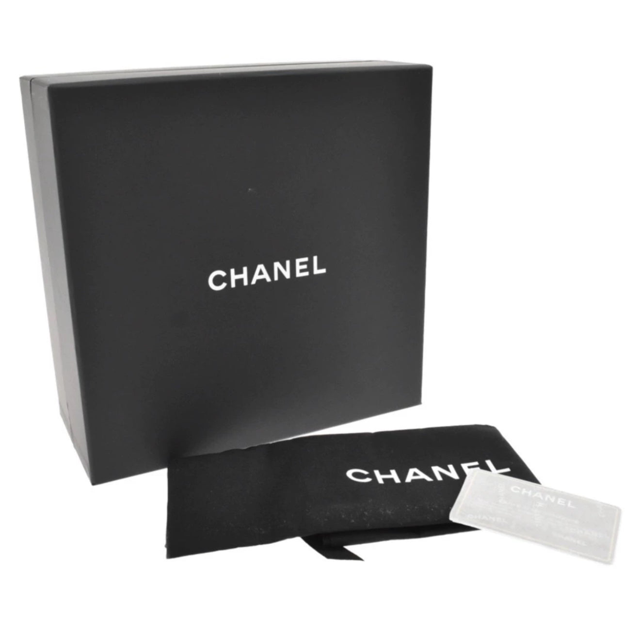 CHANEL MINAUDIÈRE SCARABÉE Métiers d’Art Paris New York 2019
