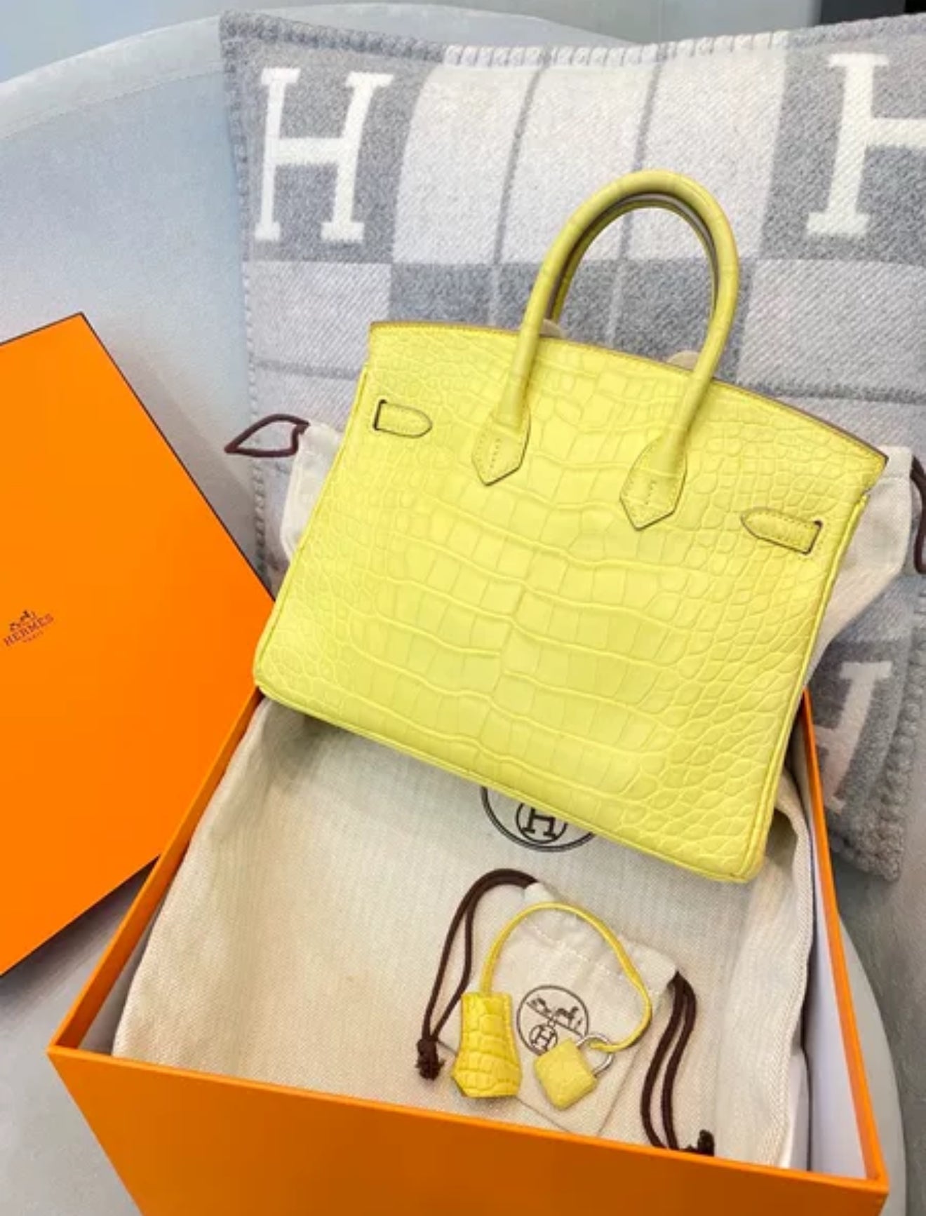 Hermès Birkin 25 Mimosa Matt Alligator Palladium Hardware