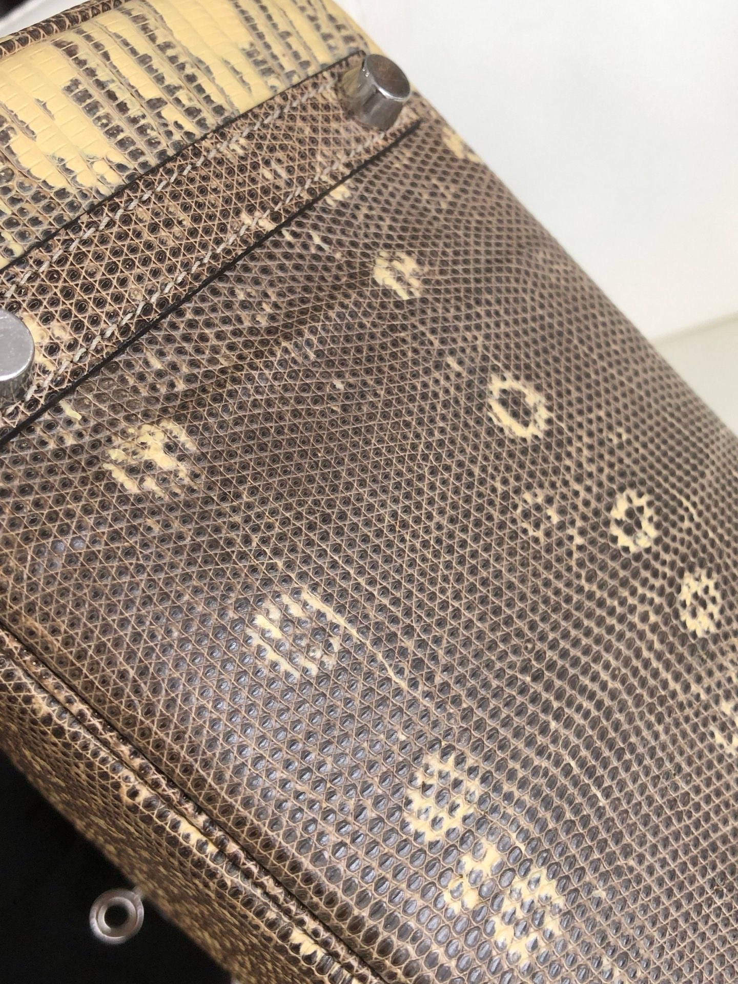 Hermès Birkin 25 Ombre Varanus Salvator Lizard Palladium Hardware
