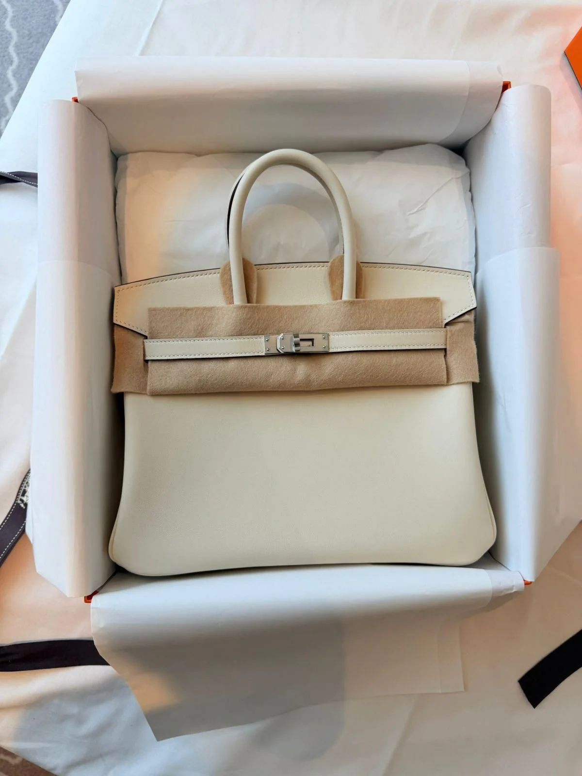 Hermes Birkin 25 Nata Swift Palladium Hardware