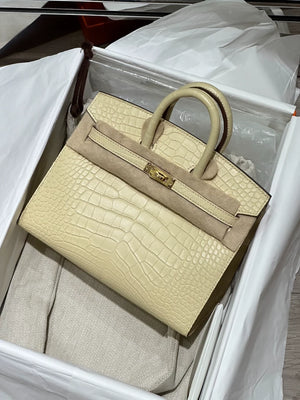 Hermes Birkin 20 Y1 vanille matte Alligator leather gold hardware