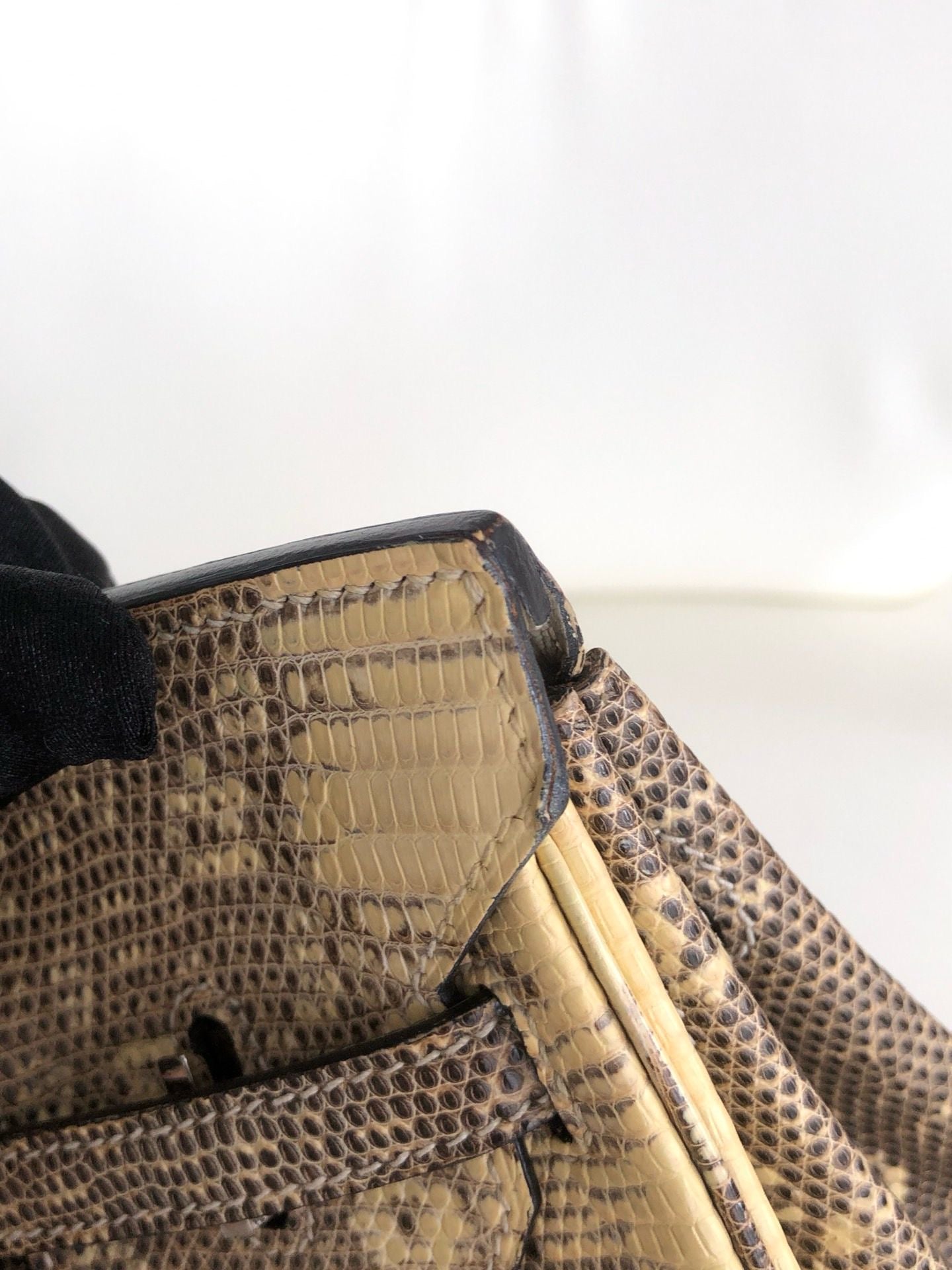 Hermès Birkin 25 Ombre Varanus Salvator Lizard Palladium Hardware