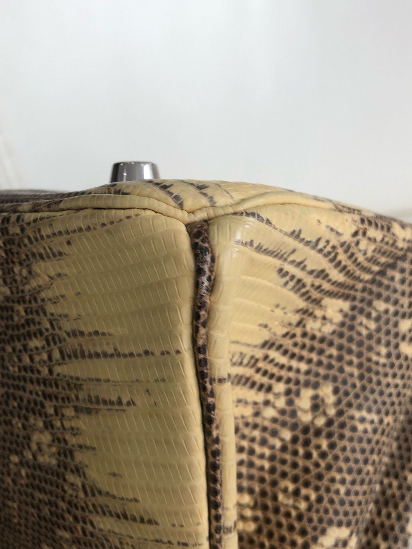 Hermès Birkin 25 Ombre Varanus Salvator Lizard Palladium Hardware