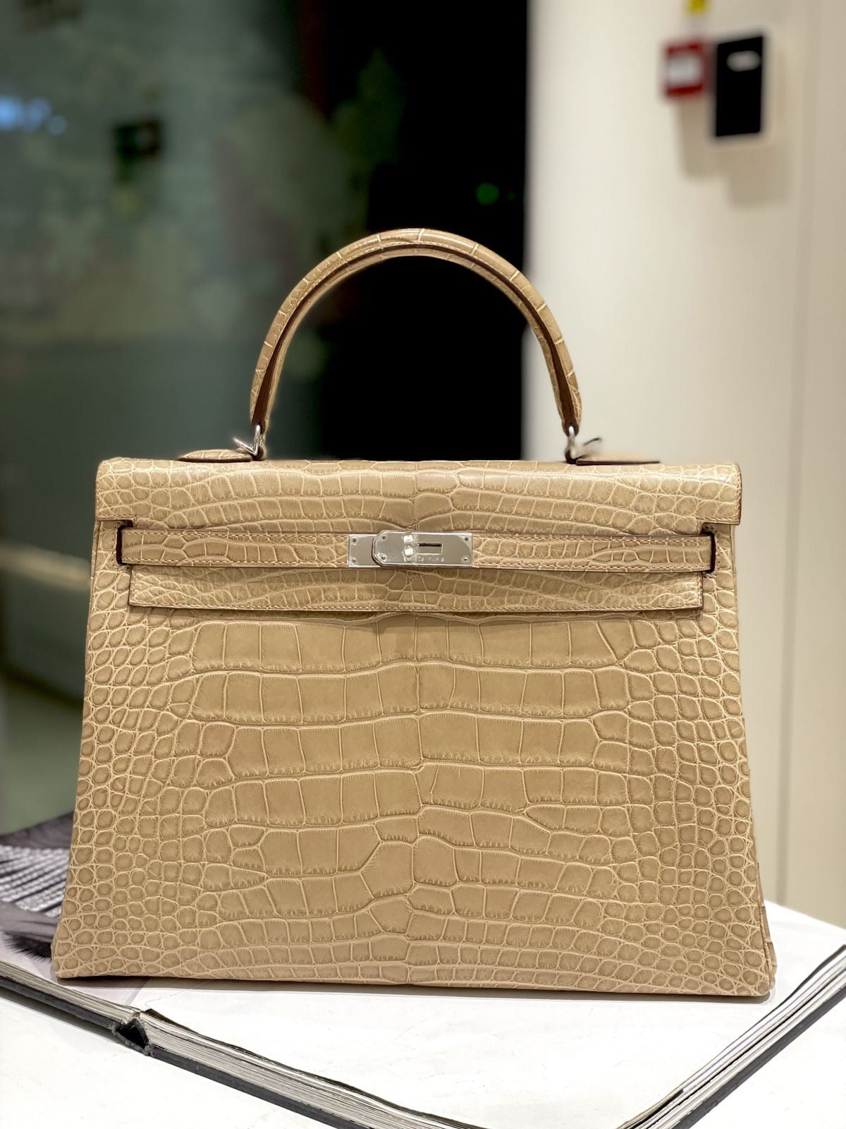 Hermes kelly 35 Poussiere Mattw Alligator Palladium hardware