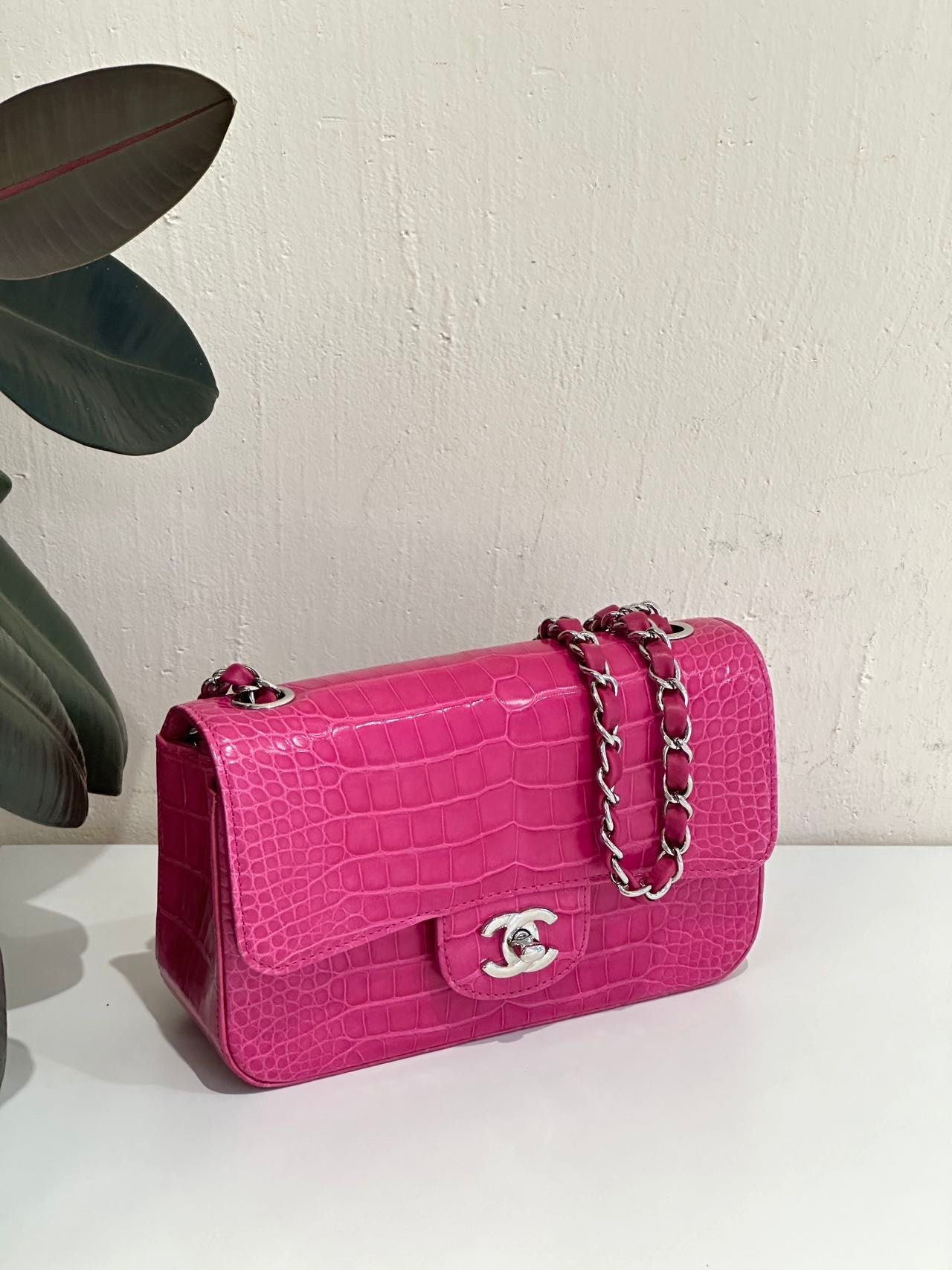 Chanel pink Alligator leather mini flap silver hardware