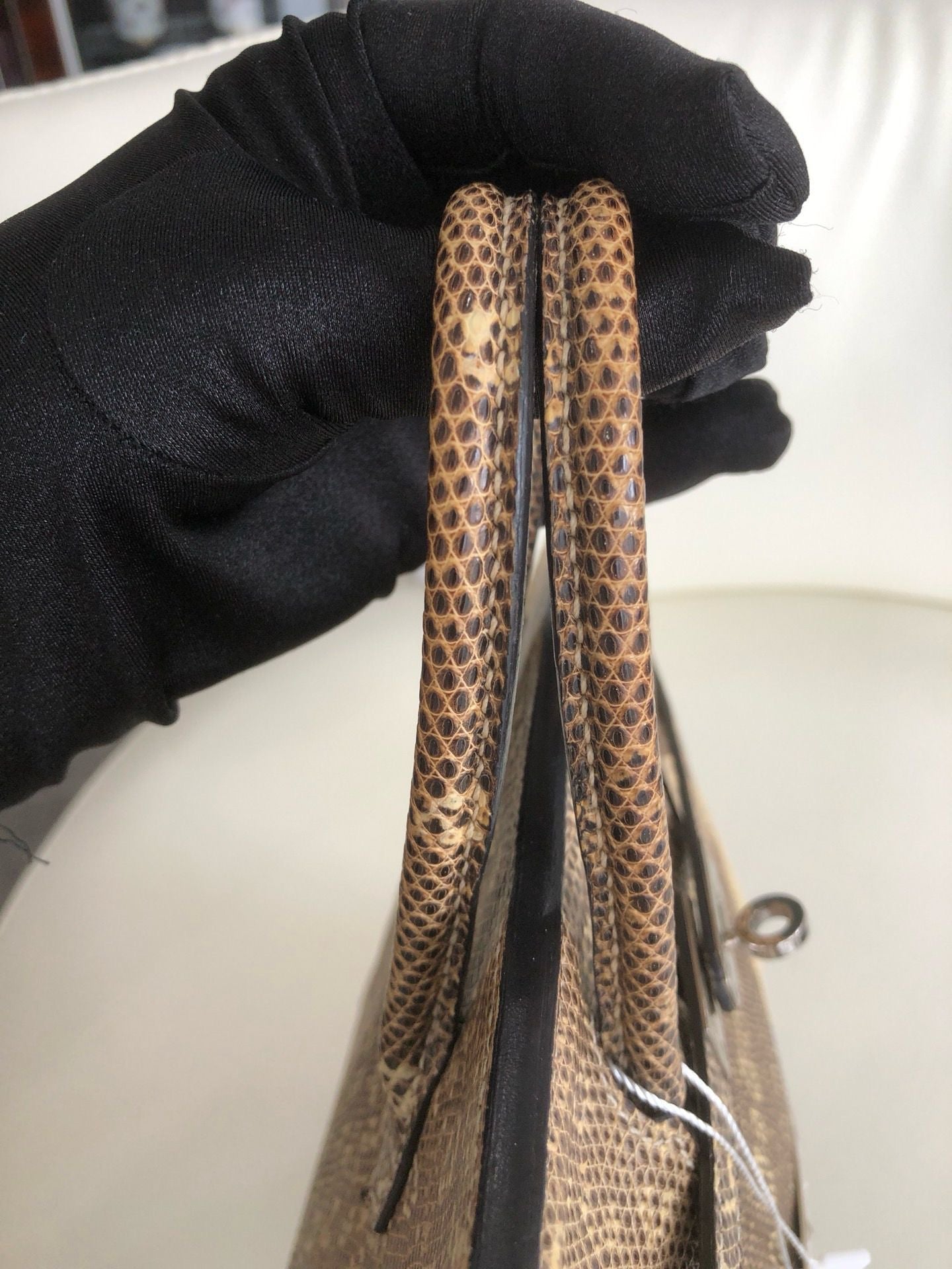 Hermès Birkin 25 Ombre Varanus Salvator Lizard Palladium Hardware