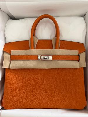 Hermes Birkin 25 Orange Tog Palladium Hardware