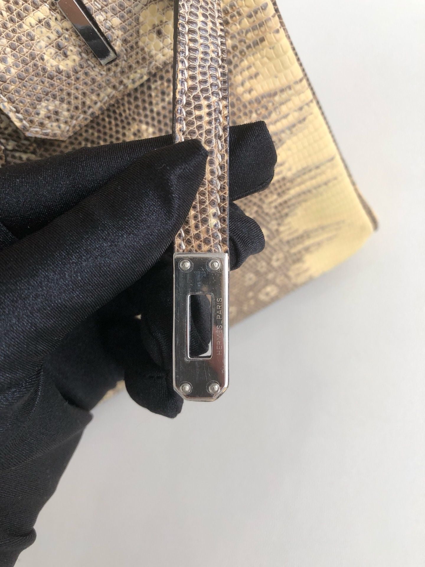 Hermès Birkin 25 Ombre Varanus Salvator Lizard Palladium Hardware