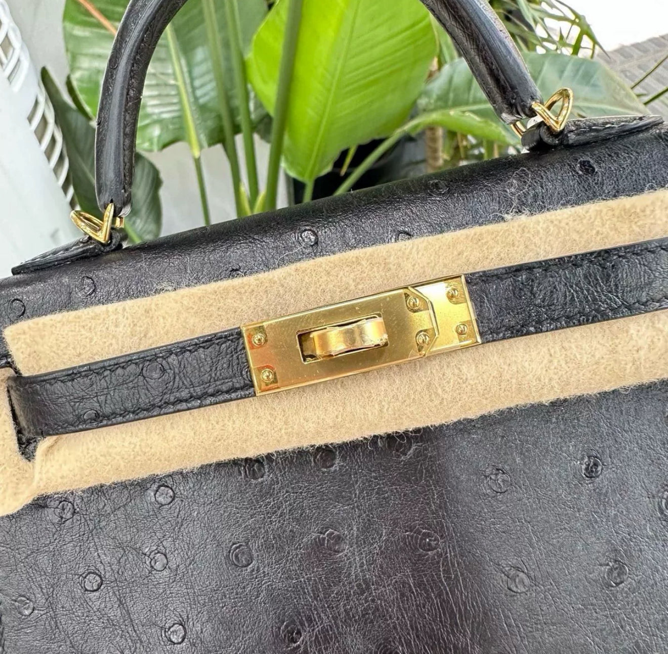 Hermès Mini Kelly Black Ostrich Gold Hardware