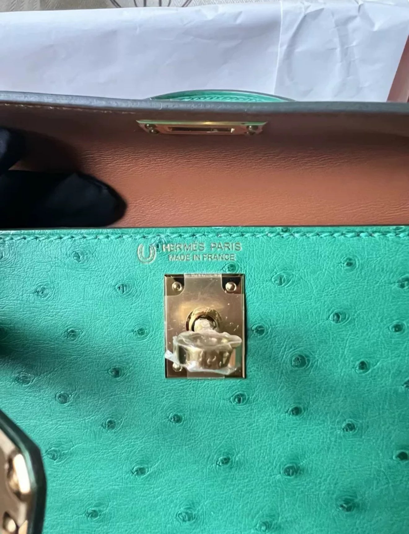 Hermès Kelly Sellier 20 Vert Verone Ostrich Gold Hardware