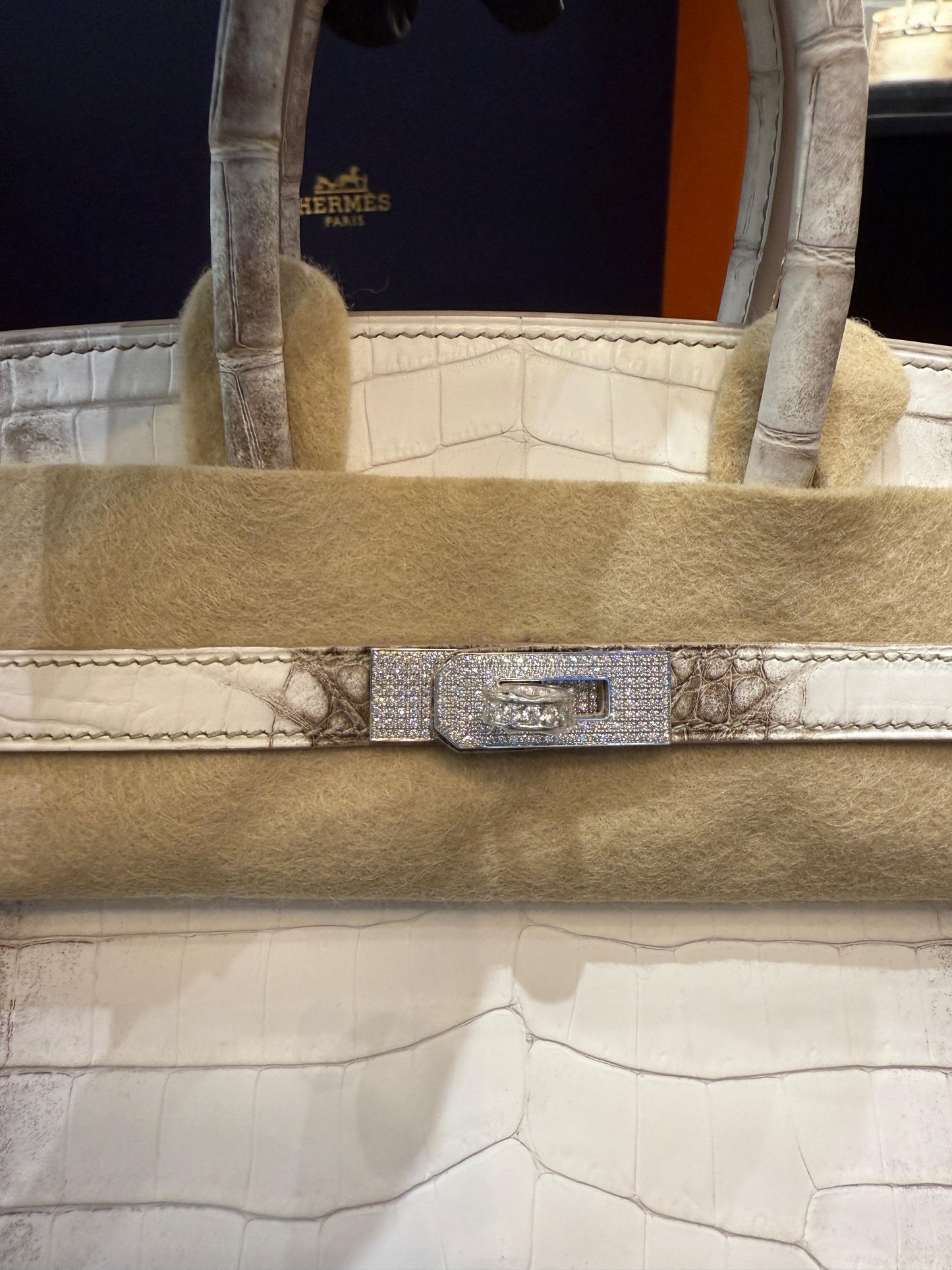 Hermès Birkin 25 Himalaya Niloticus Crocodile Gold Diamond Hardware