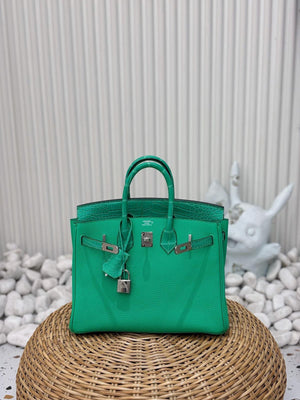 Hermes Birkin 25 Touch Vert Comics Togo / Matte Alligator Palladium hardware