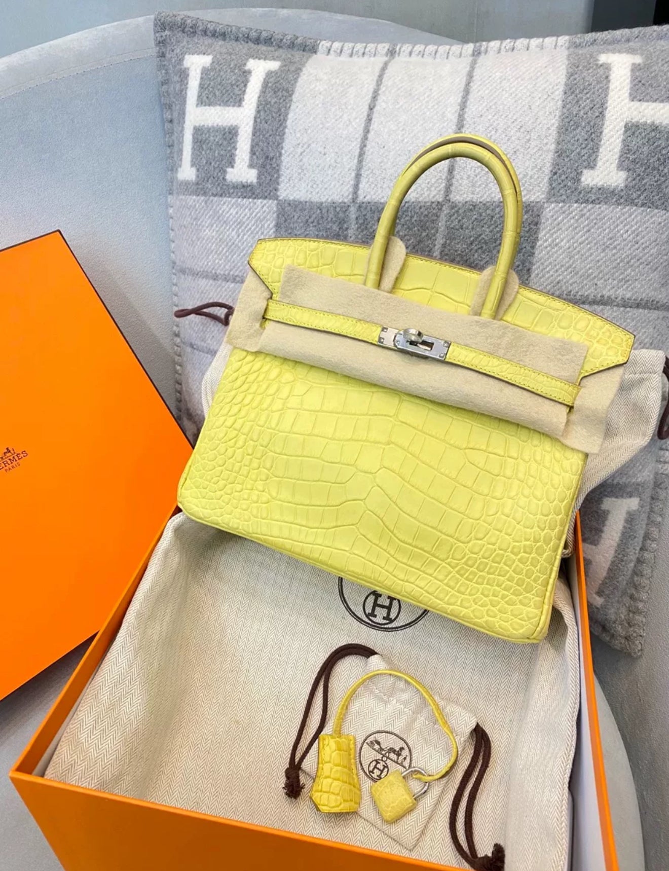 Hermès Birkin 25 Mimosa Matt Alligator Palladium Hardware