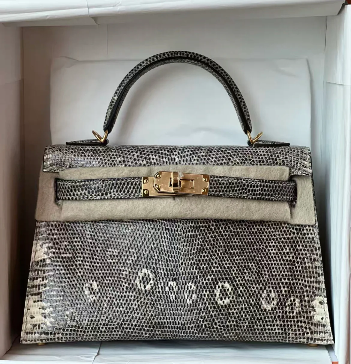 Hermes Mini Kelly 20 Ombre Lizard leather gold hardware