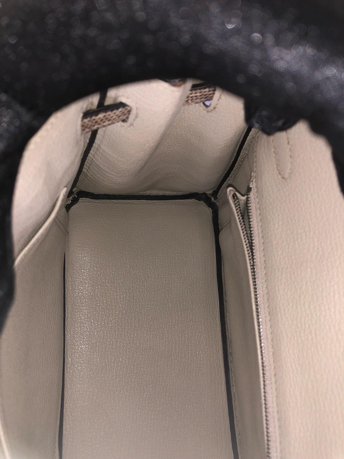 Hermès Birkin 25 Ombre Varanus Salvator Lizard Palladium Hardware