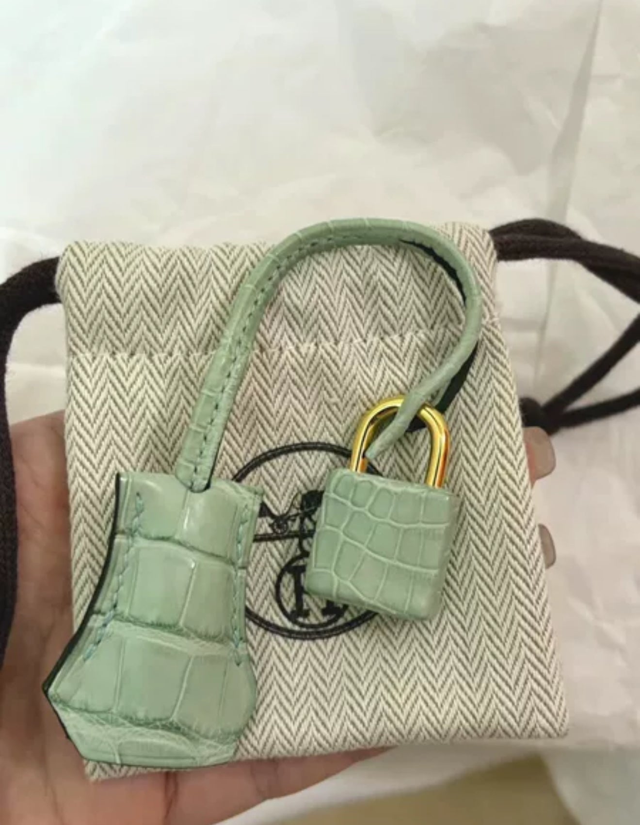Hermès Birkin 20 Vert dEau Matt Alligator Gold Hardware