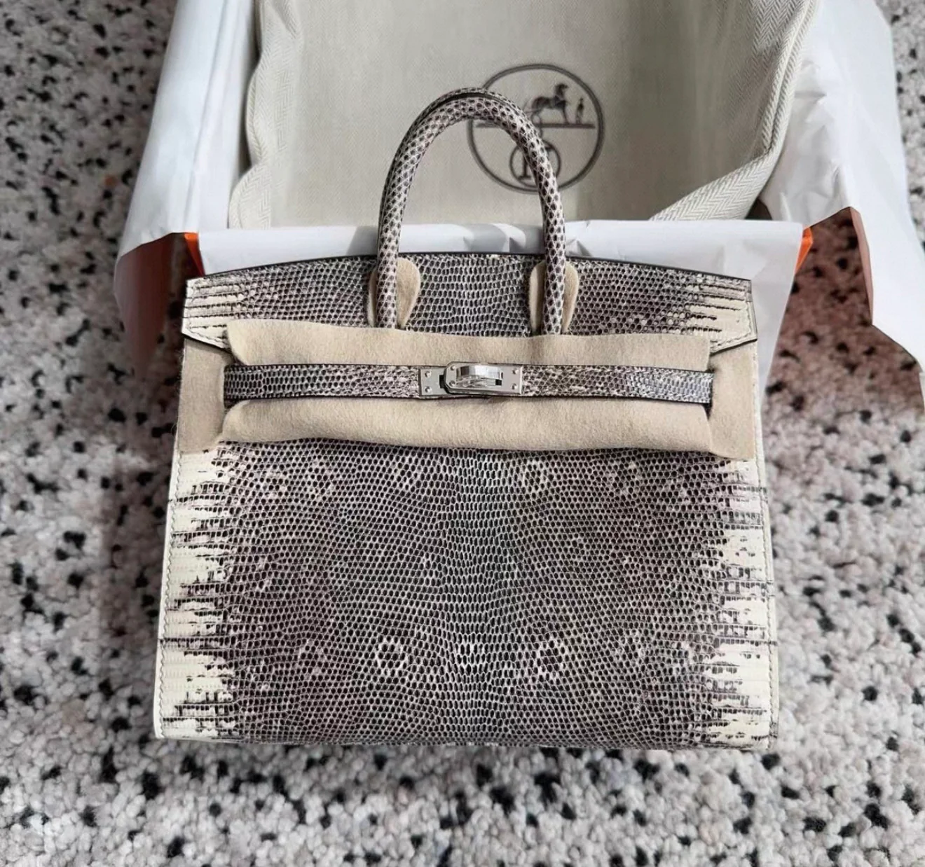 Hermès Birkin 20 Lizard Ombré leather palladium hardware