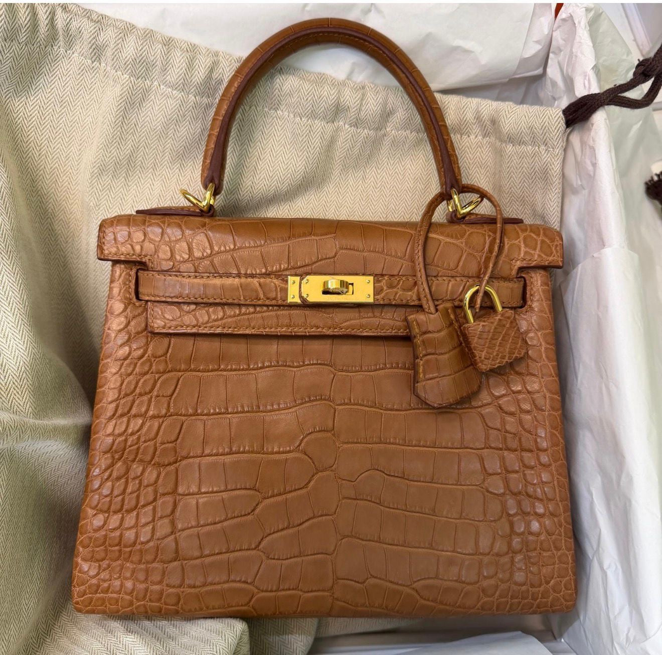 Hermes Kelly 25 Gold Matte Alligator Gold hardware