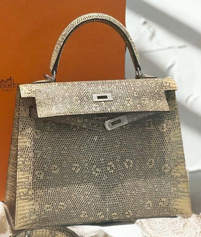 Hermes kelly 25 Ombre Lizard Palladium hardware