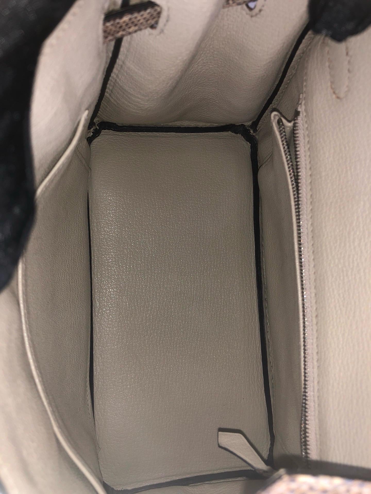 Hermès Birkin 25 Ombre Varanus Salvator Lizard Palladium Hardware