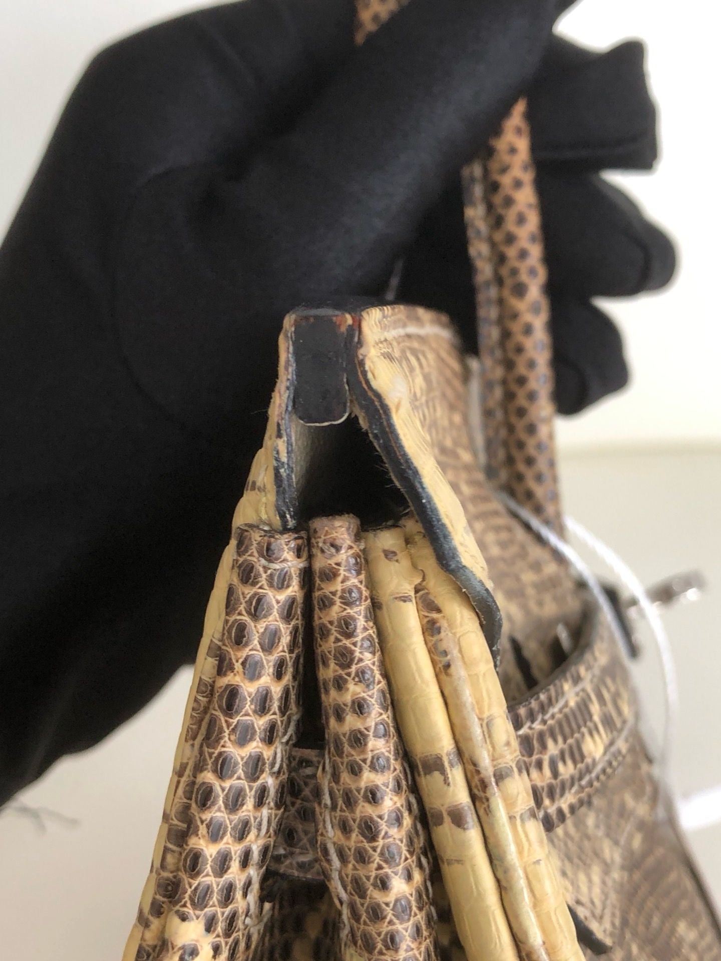 Hermès Birkin 25 Ombre Varanus Salvator Lizard Palladium Hardware