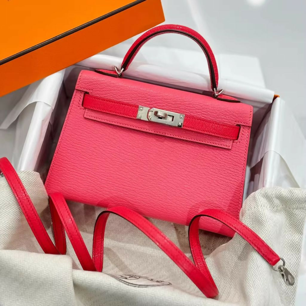 Hermes  nag (2)