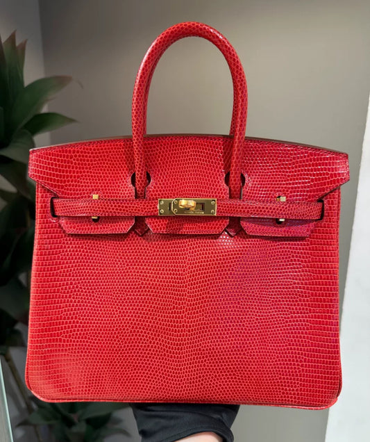 Hermes Birkin 25 Rouge Exotic Lizard Gold Hardware