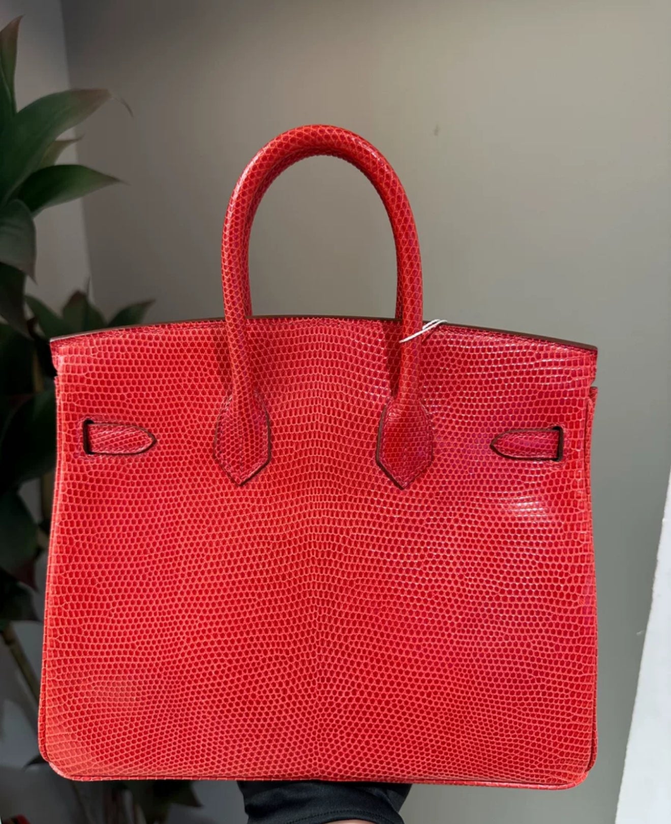 Hermes Birkin 25 Rouge Exotic Lizard Gold Hardware