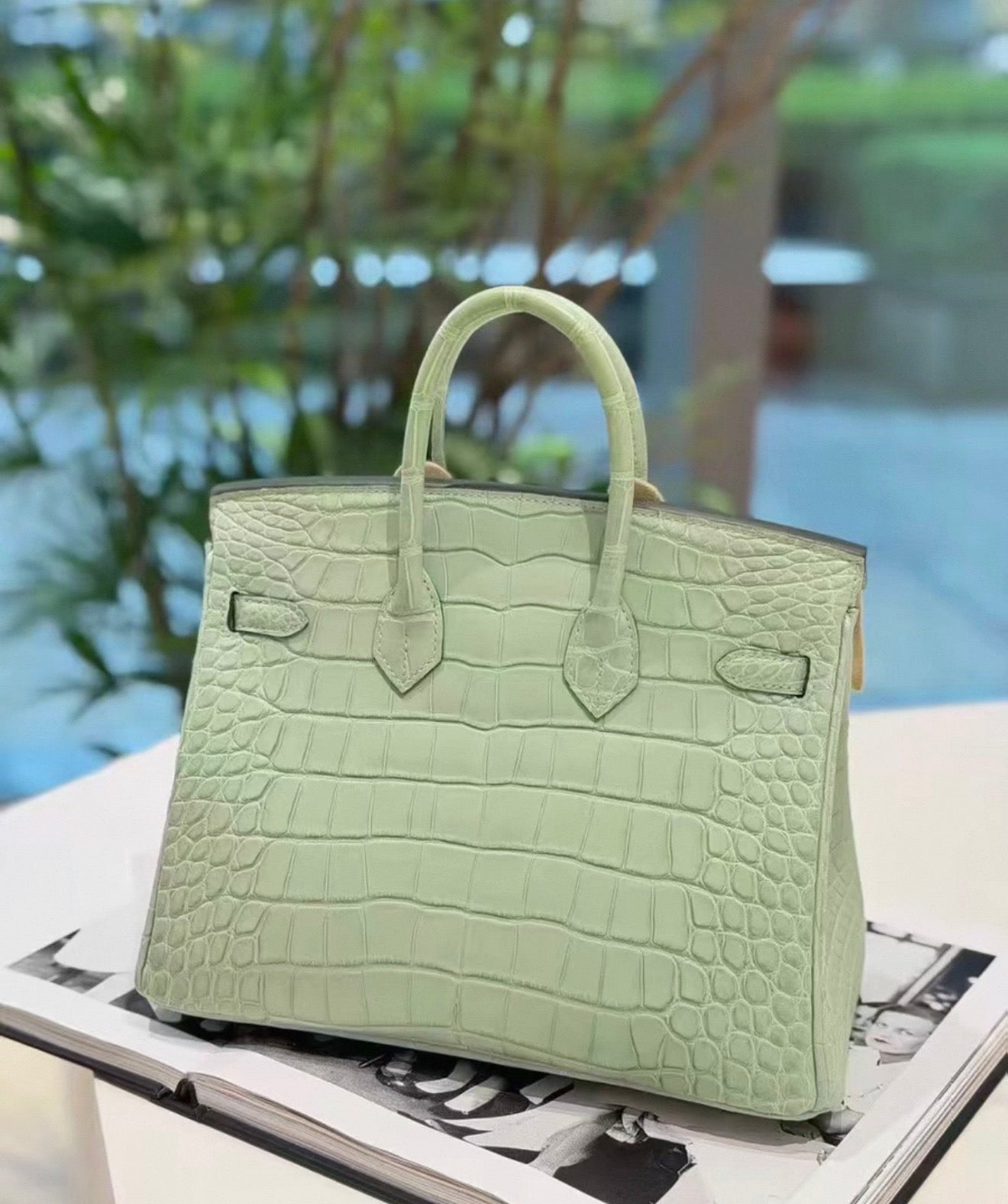 Hermès Birkin 25 6U Vert deau Crocodile Leather Palladium Hardware