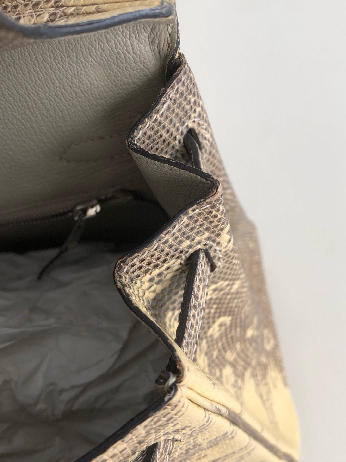 Hermès Birkin 25 Ombre Varanus Salvator Lizard Palladium Hardware