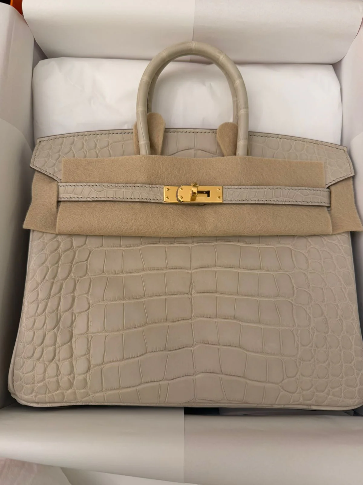 Hermes Birkin 25 Beton Matte Alligator Gold hardware