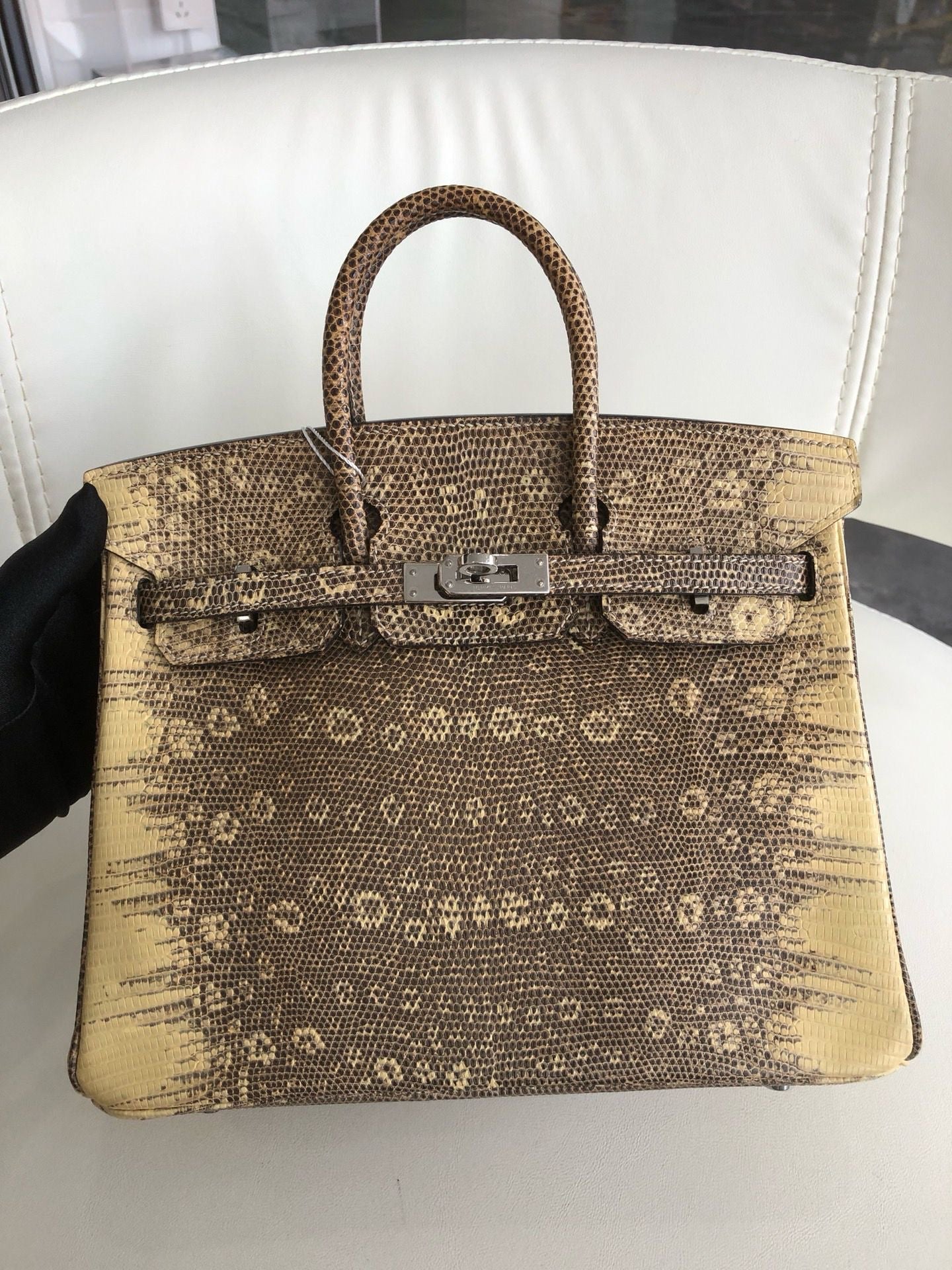 Hermès Birkin 25 Ombre Varanus Salvator Lizard Palladium Hardware