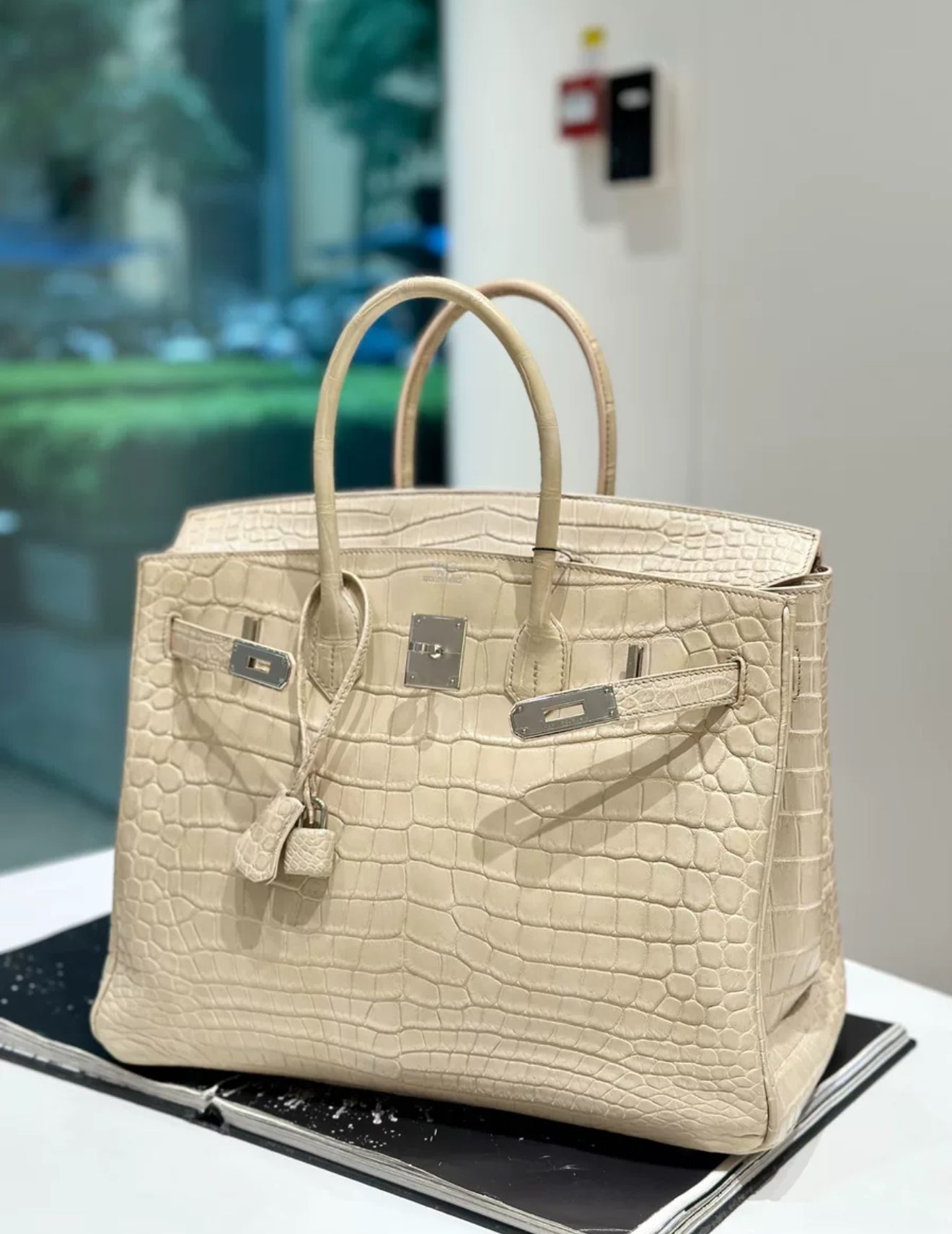 Hermès Birkin 35 Betton Matte Crocodile Leather Palladium hardware