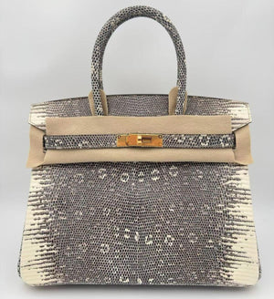 Hermès Birkin 30 Ombre Lizard Gold hardware