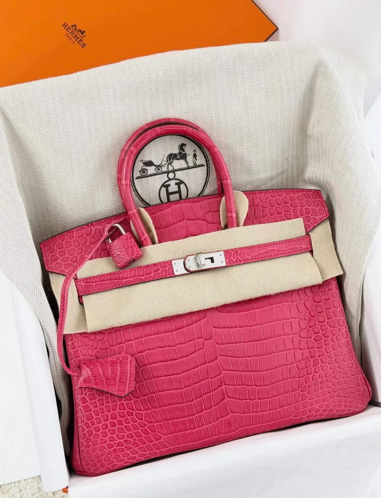 Hermes Birkin 25 Bougainvillier Matte Crocodile Niloticus leather Palladium hardware