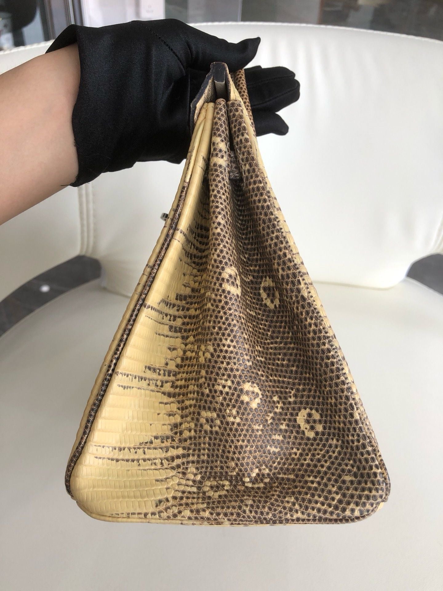 Hermès Birkin 25 Ombre Varanus Salvator Lizard Palladium Hardware