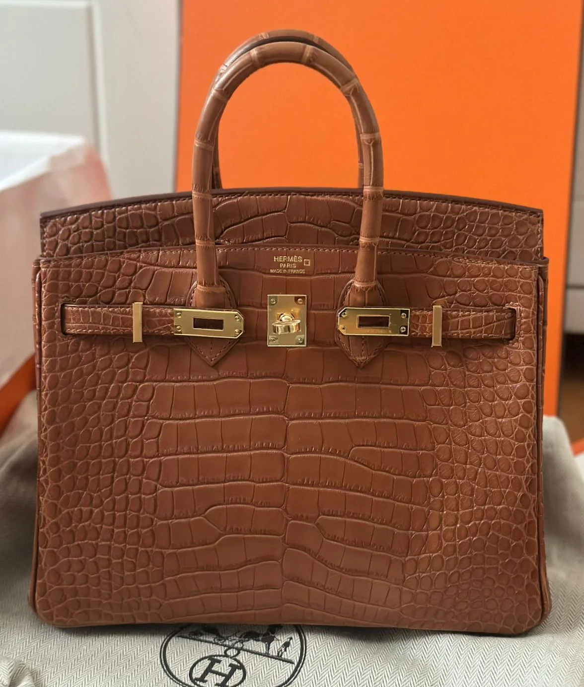 Hermes Birkin 25 Gold Matte Alligator gold hardware