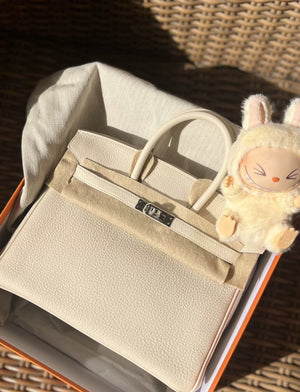 Hermès Birkin 25 Nata Togo Leather Palladium Hardware