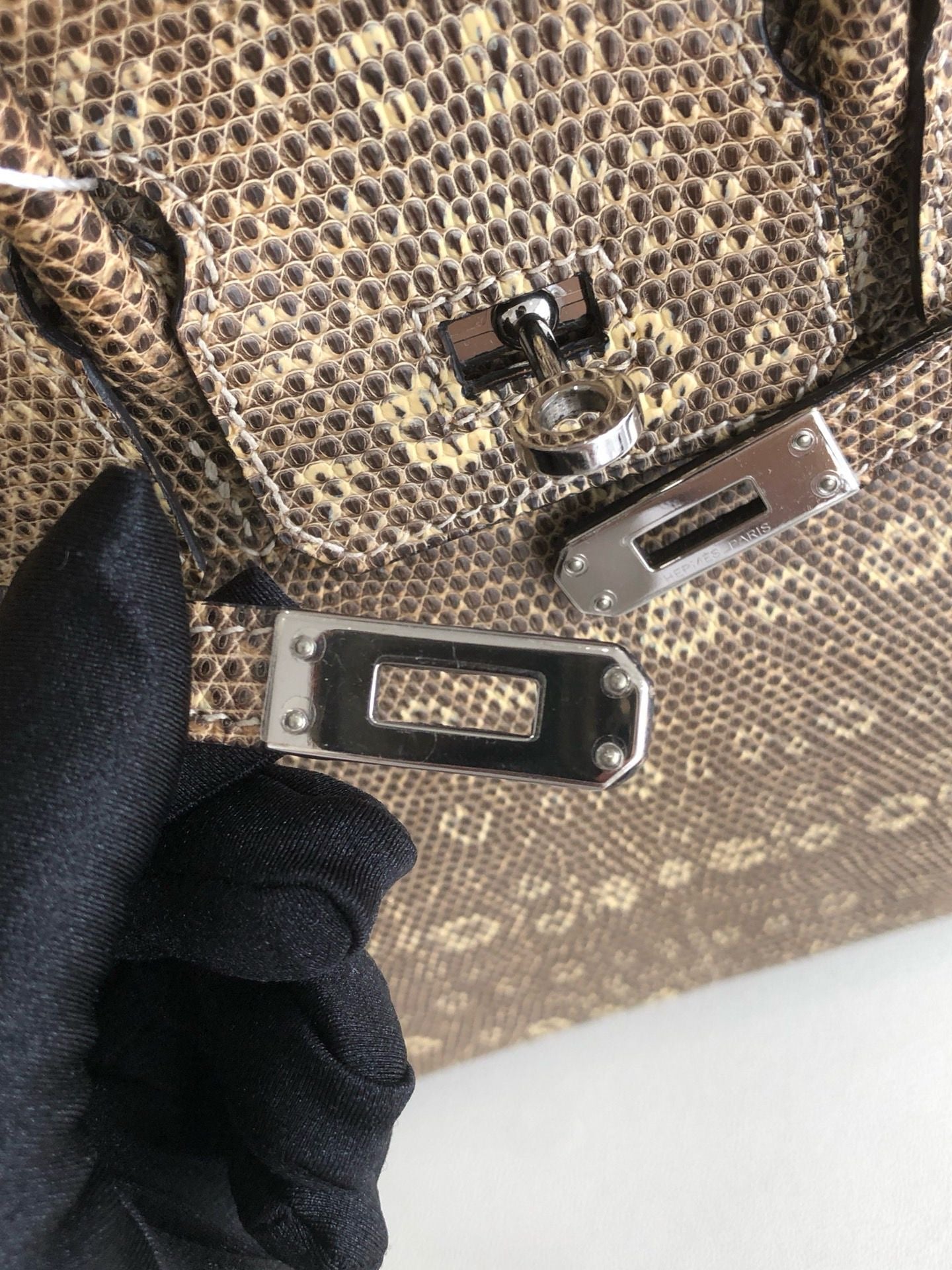 Hermès Birkin 25 Ombre Varanus Salvator Lizard Palladium Hardware