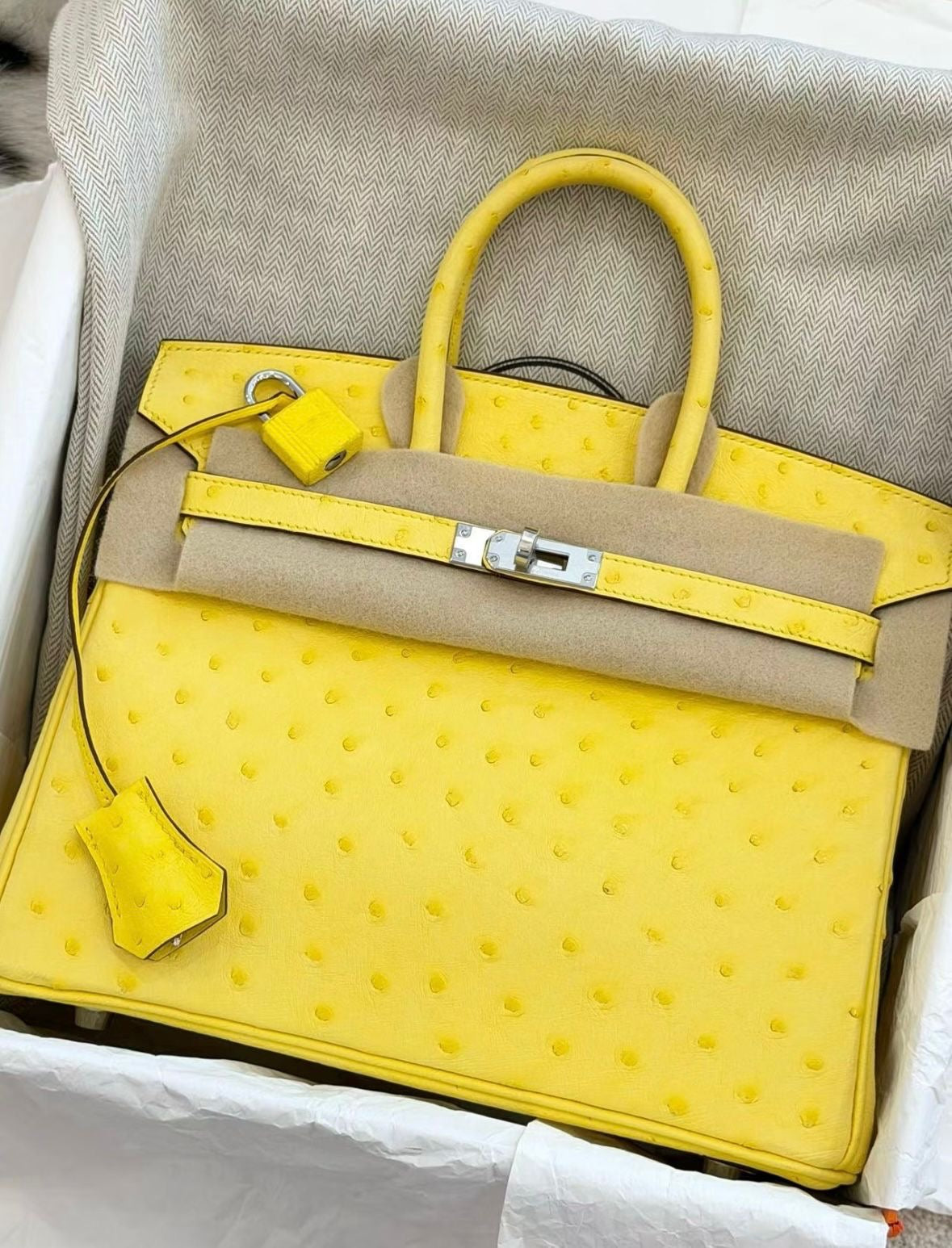 Hermes Birkin 25 Citron Ostrich Palladium hardware
