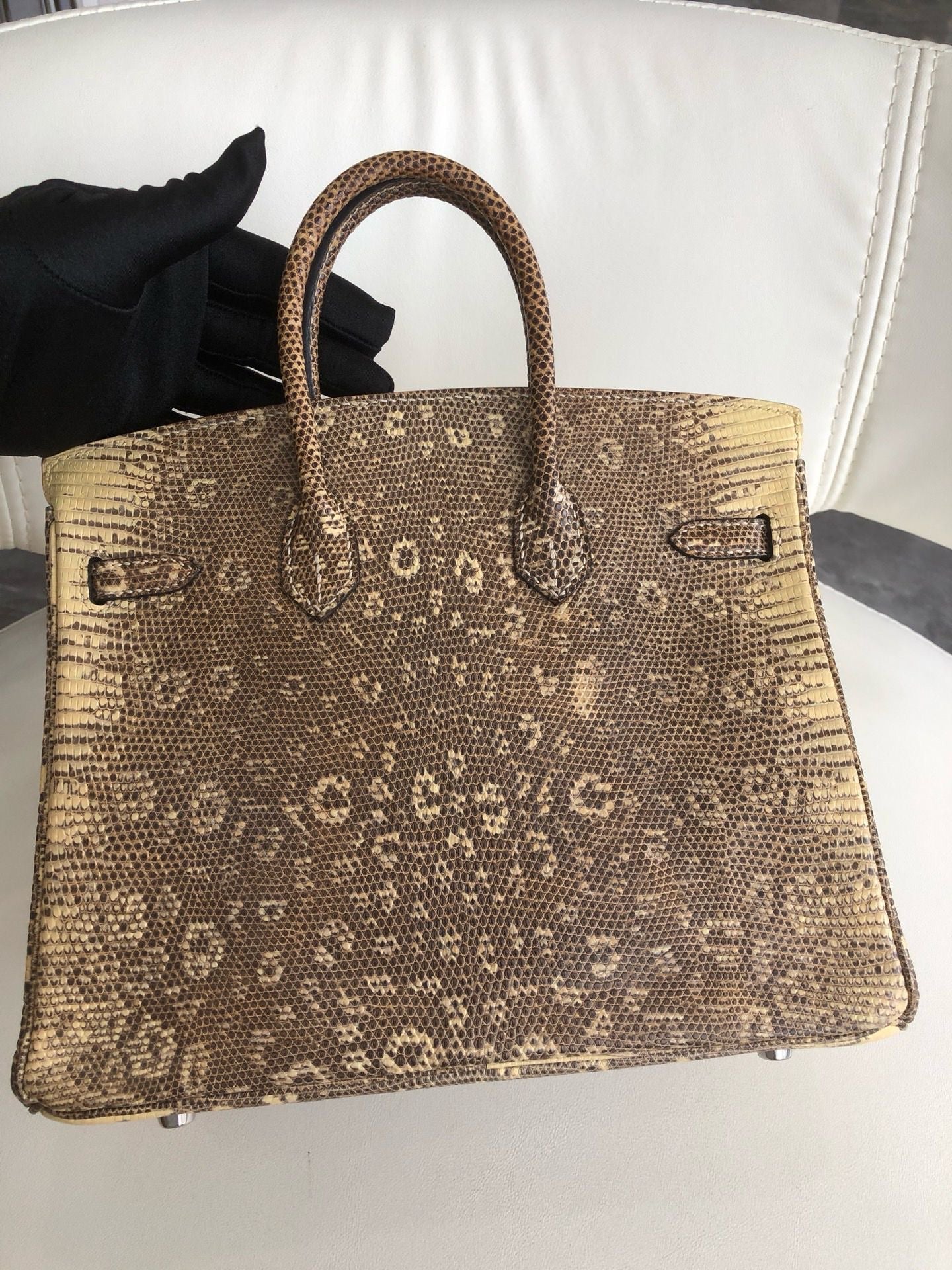 Hermès Birkin 25 Ombre Varanus Salvator Lizard Palladium Hardware
