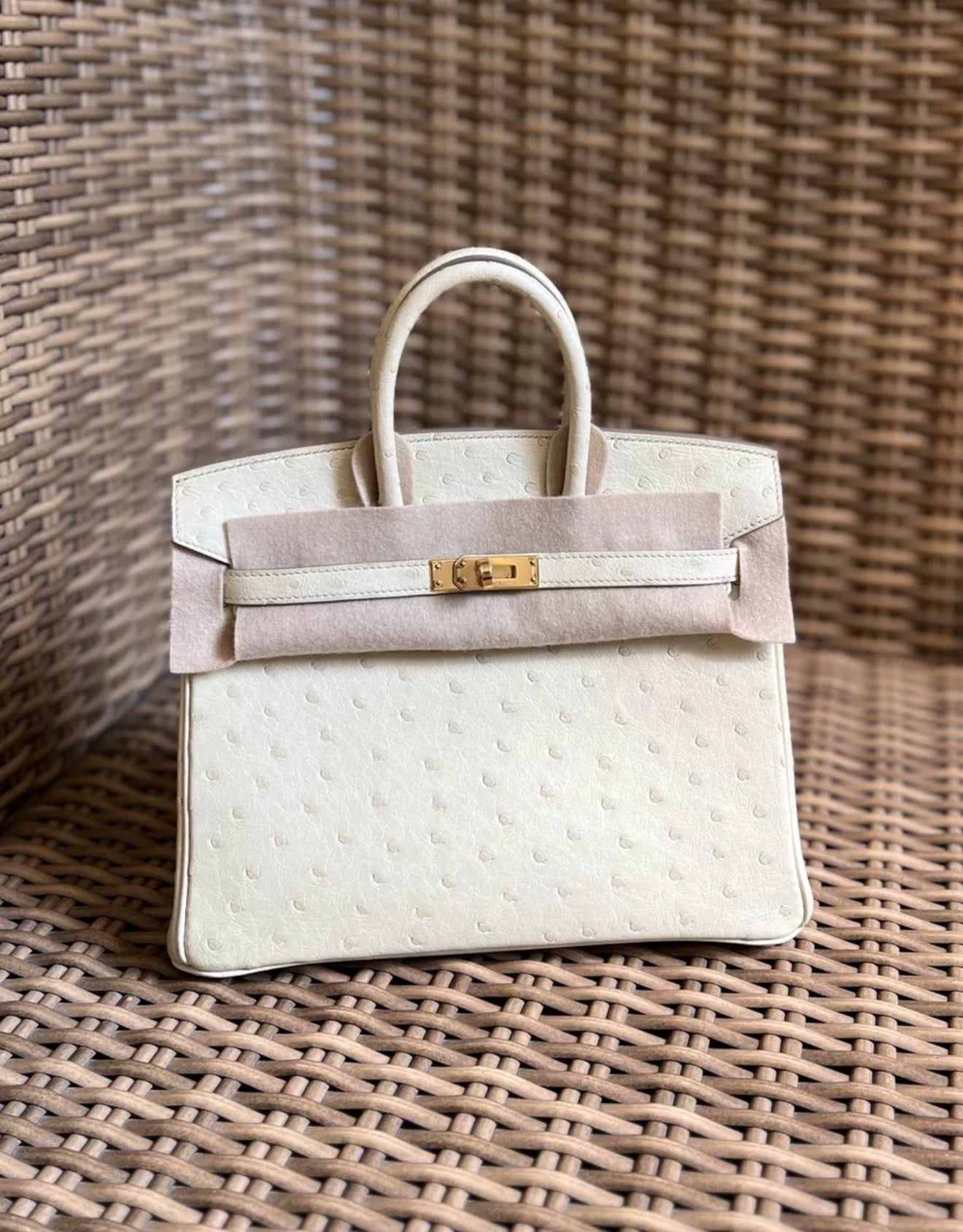 Hermès Birkin 25 glacier white ostrich leather gold hardware