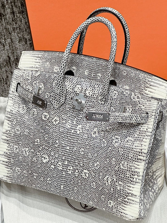 Hermes Birkin 25 Ombre Lizard leather palladium hardware