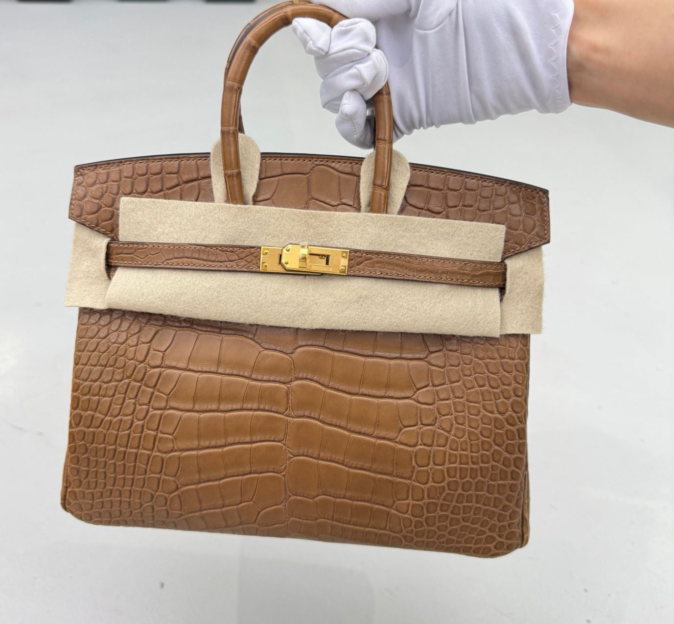 Hermes Birkin 25 Alezan Matte Alligator Gold Hardware