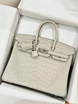 Hermes Birkin 25 Beton Matte Alligator Palladium hardware